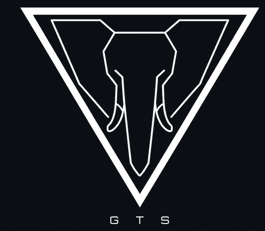 Golden Triangle Software